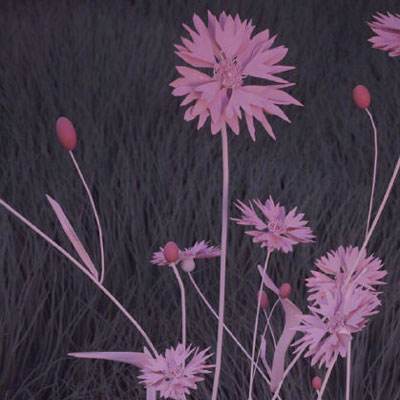 澳门新莆京游戏